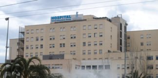 España alcanza un nuevo récord de actividad en donación de órganos, con la gestión de 19 donantes fallecidos en 24 horas