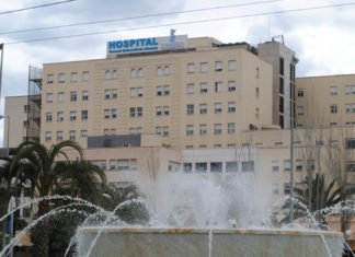 España alcanza un nuevo récord de actividad en donación de órganos, con la gestión de 19 donantes fallecidos en 24 horas