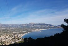 Altea pone en marcha la lucha contra la peligrosa procesionaria de los pinos a través de endoterapia