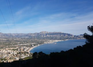Altea pone en marcha la lucha contra la peligrosa procesionaria de los pinos a través de endoterapia