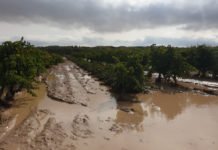 Ximo Puig dice que luchará para poder dar 20.000.000 de euros a los agricultores afectados por la gota fría de septiembre