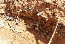 La Generalitat aprueba actuaciones de gran impacto medioambiental en La Murada de Orihuela