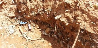 La Generalitat aprueba actuaciones de gran impacto medioambiental en La Murada de Orihuela