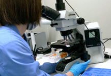 Muere el hombre infectado de rabia por la mordedura de un gato e ingresado en el País Vasco