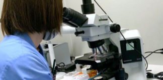 Muere el hombre infectado de rabia por la mordedura de un gato e ingresado en el País Vasco