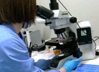 Muere el hombre infectado de rabia por la mordedura de un gato e ingresado en el País Vasco