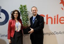 Madrid dona madroños a Chile en la clausura del COP25 como símbolo de hermanamiento