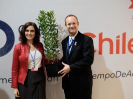 Madrid dona madroños a Chile en la clausura del COP25 como símbolo de hermanamiento