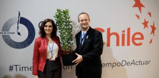 Madrid dona madroños a Chile en la clausura del COP25 como símbolo de hermanamiento