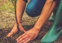 Madrid lidera la presencia de las regiones españolas en la Conferencia sobre el cambio climático de Naciones Unidas entre hoy y el día 13 de diciembre