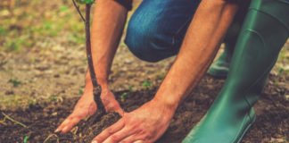 Madrid lidera la presencia de las regiones españolas en la Conferencia sobre el cambio climático de Naciones Unidas entre hoy y el día 13 de diciembre