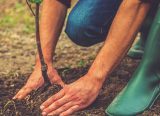 Madrid lidera la presencia de las regiones españolas en la Conferencia sobre el cambio climático de Naciones Unidas entre hoy y el día 13 de diciembre