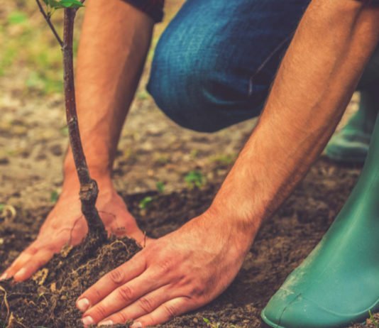 Madrid lidera la presencia de las regiones españolas en la Conferencia sobre el cambio climático de Naciones Unidas entre hoy y el día 13 de diciembre