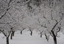 Llega otro temporal y los políticos avisan, pero no hacen nada para minorizar los posibles efectos catastróficos de tragedias pasadas
