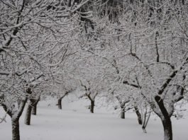 Llega otro temporal y los políticos avisan, pero no hacen nada para minorizar los posibles efectos catastróficos de tragedias pasadas