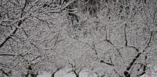 Llega otro temporal y los políticos avisan, pero no hacen nada para minorizar los posibles efectos catastróficos de tragedias pasadas