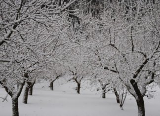 Llega otro temporal y los políticos avisan, pero no hacen nada para minorizar los posibles efectos catastróficos de tragedias pasadas