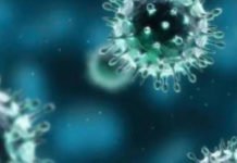 Saltan las alarmas en Torrevieja ante un posible caso de coronavirus en dos enfermos