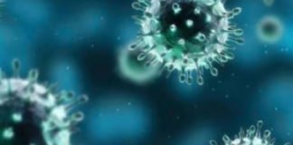 Saltan las alarmas en Torrevieja ante un posible caso de coronavirus en dos enfermos