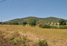 Casi mil jóvenes de Valencia, Alicante y Castellón han optado por la agricultura como forma de vida en los últimos años