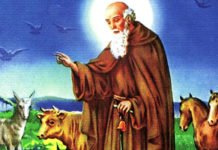 Elche celebra estos días la festividad de San Antón