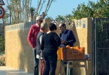 El ex alcalde socialista de Alfaz del Pi que robó a espuertas a su pueblo ahora hace la competencia a los agricultores de forma ilegal