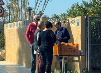 El ex alcalde socialista de Alfaz del Pi que robó a espuertas a su pueblo ahora hace la competencia a los agricultores de forma ilegal