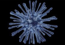 Nigeria declara un «brote epidémico extraño» en el país que ya ha dejado 15 muertos