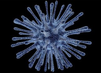 Nigeria declara un «brote epidémico extraño» en el país que ya ha dejado 15 muertos