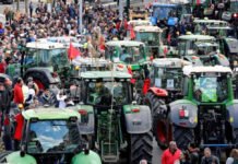 Paro general del sector agrario y ganadero de Sevilla para reivindicar el futuro del campo