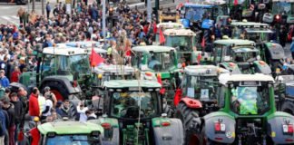 Paro general del sector agrario y ganadero de Sevilla para reivindicar el futuro del campo