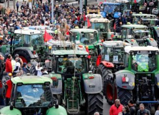 Paro general del sector agrario y ganadero de Sevilla para reivindicar el futuro del campo