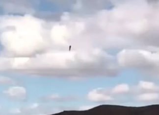 El Terraplanista Mike Hughes, se mata tras lanzarse en un cohete casero al espacio para demostrar que la Tierra es plana