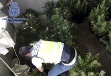 La Policía Nacional ha detenido a cinco personas y ha desarticulado un grupo criminal dedicado al tráfico de drogas en Orihuela