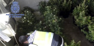 La Policía Nacional ha detenido a cinco personas y ha desarticulado un grupo criminal dedicado al tráfico de drogas en Orihuela
