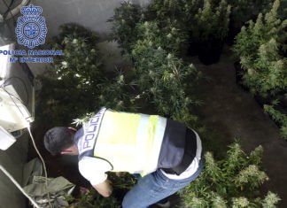 La Policía Nacional ha detenido a cinco personas y ha desarticulado un grupo criminal dedicado al tráfico de drogas en Orihuela