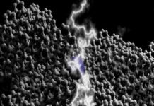 La Nueva membrana de Carbono que genera 100 veces más poder del agua de mar Membrana de Carbono