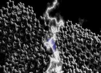 La Nueva membrana de Carbono que genera 100 veces más poder del agua de mar Membrana de Carbono