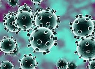 España cuenta ya con 616 fallecidos por coronavirus