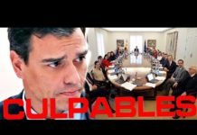 Hay que pedirle responsabilidades penales al Gobierno de Pedro Sánchez