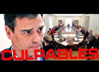 Hay que pedirle responsabilidades penales al Gobierno de Pedro Sánchez
