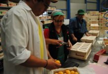 Las exportaciones agroalimentarias de la Comunitat Valenciana crecieron en febrero un 11,9 % respecto al mismo mes de 2019