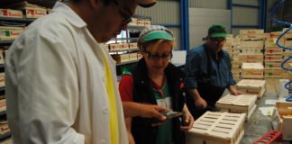 Las exportaciones agroalimentarias de la Comunitat Valenciana crecieron en febrero un 11,9 % respecto al mismo mes de 2019