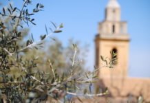La Generalitat Valenciana gastará casi 11.000.000 de euros en proyectos que luchen contra la despoblación rural