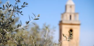 La Generalitat Valenciana gastará casi 11.000.000 de euros en proyectos que luchen contra la despoblación rural