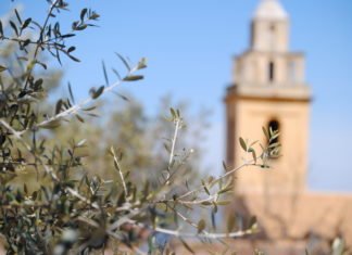 La Generalitat Valenciana gastará casi 11.000.000 de euros en proyectos que luchen contra la despoblación rural
