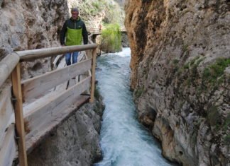 Andalucía recibe el apoyo de Exceltur a todas las iniciativas de la Junta para reactivar el sector turístico