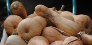 La Conselleria de Agricultura pone en marcha la campaña #EstasManosVanASeguir en Alicante, Valencia y Castellón