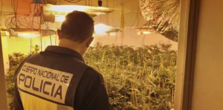 La Policía Nacional desmantela un cultivo de marihuana en la zona norte de la ciudad de Alicante