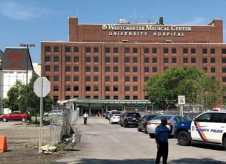 Nueva York cierra el peor día de pandemia por coronavirus con 731 víctimas mortales